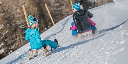 Ausflug mit Kindern - Witterung: Schnee - Steinhaus/ Ahrntal - Die Taistner Vorderalm