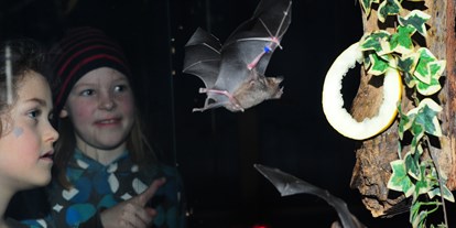 Ausflug mit Kindern - Witterung: Bewölkt - Großenaspe - Besuch in der Fledermaus-Erlebnisausstellung