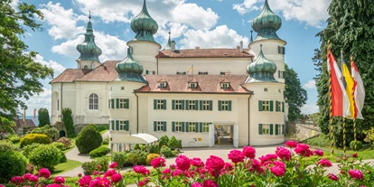 Trip with children - Ausflugsziel ist: eine Sehenswürdigkeit - Austria - Schloss Artstetten