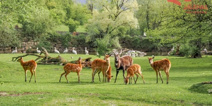 Ausflug mit Kindern - Witterung: Schnee - Sankt Leonhard (Grödig) - Zoo Salzburg Hellbrunn