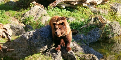 Ausflug mit Kindern - Preisniveau: moderat - Sankt Leonhard (Grödig) - Zoo Salzburg Hellbrunn