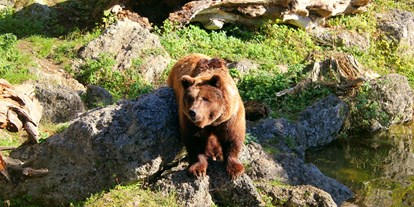 Ausflug mit Kindern - Umgebungsschwerpunkt: Berg - Waldhof - Zoo Salzburg Hellbrunn