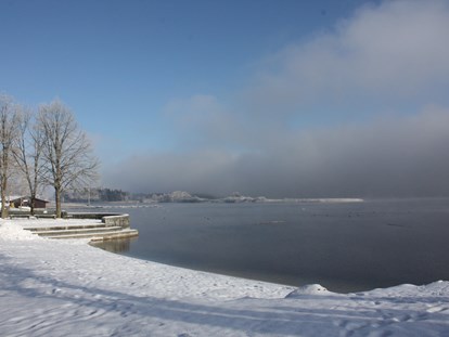 Ausflug mit Kindern - Themen in der Region: Winteraktivitäten - Salzburger Seenland
