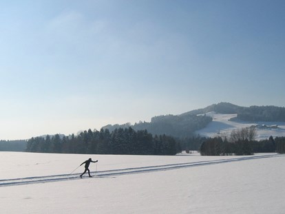 Ausflug mit Kindern - Themen in der Region: Winteraktivitäten - Salzburger Seenland