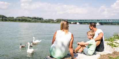 Ausflug mit Kindern - Landschaft: Flüsse - Purkersdorf (Purkersdorf) - Tullner Donaulände - Tulln an der Donau