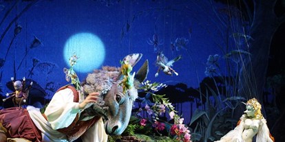 Ausflug mit Kindern - Themenschwerpunkt: Märchen - Großgmain - Sommernachtstraum - Salzburger Marionettentheater 