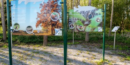 Ausflug mit Kindern - Wickeltisch - Thomastal (Pabneukirchen, Sankt Thomas am Blasenstein, Bad Kreuzen) - Station Jagd - Aulehrpfad - eine unvergessliche Begegnung mit der Natur