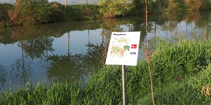Ausflug mit Kindern - Umgebungsschwerpunkt: Fluss - PLZ 4521 (Österreich) - Baumbeschreibung - Aulehrpfad - eine unvergessliche Begegnung mit der Natur