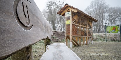 Ausflug mit Kindern - Witterung: Bewölkt - PLZ 4481 (Österreich) - Insektenhotel - Aulehrpfad - eine unvergessliche Begegnung mit der Natur