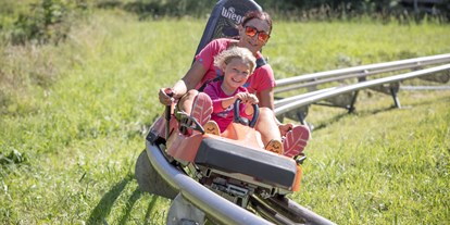 Ausflug mit Kindern - Themenschwerpunkt: Action - PLZ 4563 (Österreich) - Alpine Coaster _ Fotoquelle HIWU Hinterramskogler - Alpine Coaster Wurbauerkogel