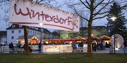 Ausflug mit Kindern - Ausflugsziel ist: eine Bahn - Männersdorf - Eislaufplatz im Winterdorf Bad Schallerbach