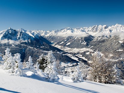 Ausflug mit Kindern - Themen in der Region: Skifahren - Österreich - Stubaital
