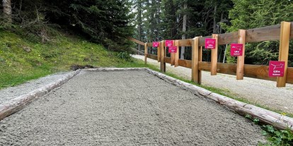 Ausflug mit Kindern - Ausflugsziel ist: ein Weg - Steinach am Brenner - King Serli's Naturerlebnispfad