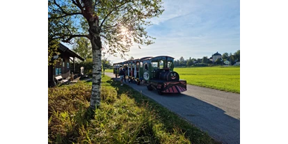 Ausflug mit Kindern - Ausflugsziel ist: eine Bahn - Sankt Leonhard (Grödig) - Bummelzug Seekirchen