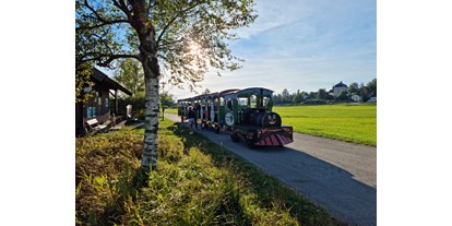 Ausflug mit Kindern - Ausflugsziel ist: eine Bahn - PLZ 5202 (Österreich) - Bummelzug Seekirchen