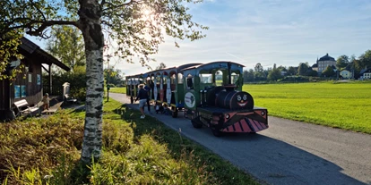 Ausflug mit Kindern - Ausflugsziel ist: eine Bahn - Kleinberg (Nußdorf am Haunsberg) - Bummelzug Seekirchen