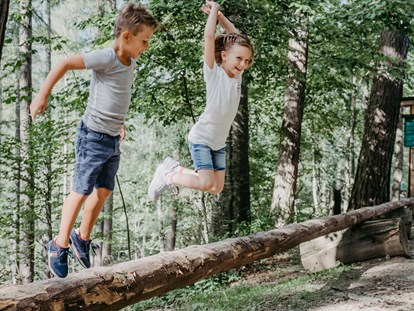 Ausflug mit Kindern - Themenschwerpunkt: Entdecken - Adriach (Frohnleiten) - Waldpark Hochreiter