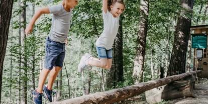 Ausflug mit Kindern - Ausflugsziel ist: ein Naturerlebnis - Turnau - Waldpark Hochreiter
