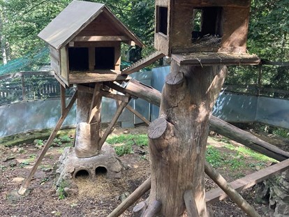 Ausflug mit Kindern - Ausflugsziel ist: ein Freizeitpark - Pöllau (Pöllau) - Waldpark Hochreiter