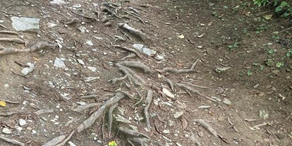 Ausflug mit Kindern - Schatten: halb schattig - Weiz - Waldpark Hochreiter