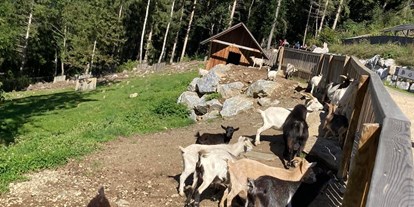 Ausflug mit Kindern - Themenschwerpunkt: Tiere - Puch bei Weiz - Waldpark Hochreiter