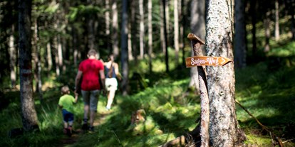Ausflug mit Kindern - Ausflugsziel ist: ein Naturerlebnis - Schönberg-Lachtal - Sagenhaftes Wölzertal