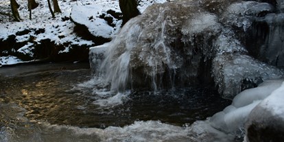Ausflug mit Kindern - Witterung: Kälte - Waisenegg - Wasserweg Miesenbach
