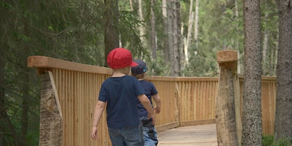 Ausflug mit Kindern - Ausflugsziel ist: ein Wandergebiet - Peilstein im Mühlviertel - Naturlehrpfad Bayrische Au