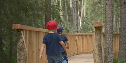 Ausflug mit Kindern - Witterung: Schönwetter - Österreich - Naturlehrpfad Bayrische Au