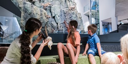 Ausflug mit Kindern - Ausflugsziel ist: ein Museum - PLZ 5660 (Österreich) - Haus der Steinböcke Hohe Tauern