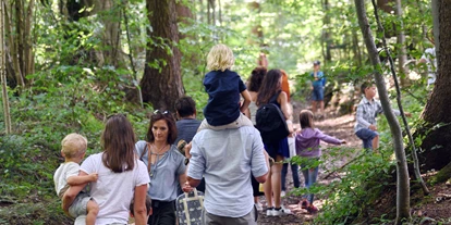 Trip with children - Ausflugsziel ist: eine kulturelle Einrichtung - Berg im Attergau - KELTENZUG