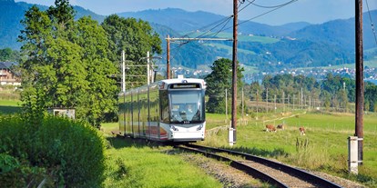 Ausflug mit Kindern - öffentliche Verkehrsmittel - PLZ 4840 (Österreich) - ATTERGAU ALPAKA
