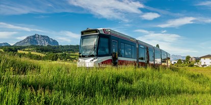 Ausflug mit Kindern - erreichbar mit: Bahn - Grünau im Almtal - BRATLZUG 