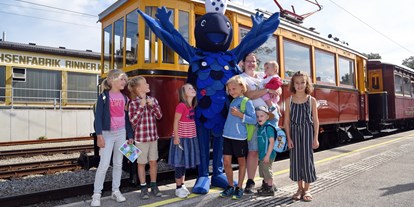 Ausflug mit Kindern - erreichbar mit: Bus - Straßwalchen - ATTERSEEBAHN