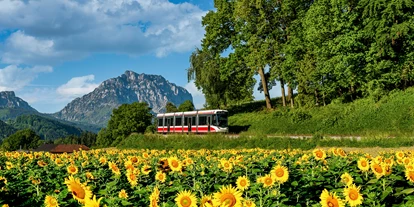 Ausflug mit Kindern - öffentliche Verkehrsmittel - Berg im Attergau - TRAUNSEETRAM