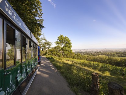 Ausflug mit Kindern - Ausflugsziel ist: ein Aussichtspunkt - Gänserndorf - Vienna Heurigen Express