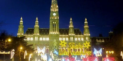 Ausflug mit Kindern - Alter der Kinder: 1 bis 2 Jahre - Bad Vöslau - Wiener Weihnachtstraum am Rathausplatz