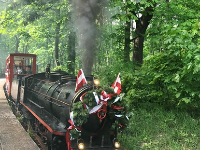 Ausflug mit Kindern - Umgebungsschwerpunkt: Wald - Liliputbahn