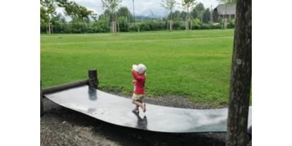 Ausflug mit Kindern - Mühlbach (Obertrum am See) - Spielplatz Frohnburg Süd