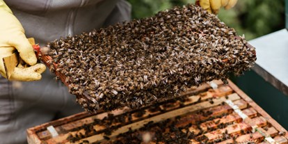 Ausflug mit Kindern - Weißenkirchen im Attergau - Bienenführung