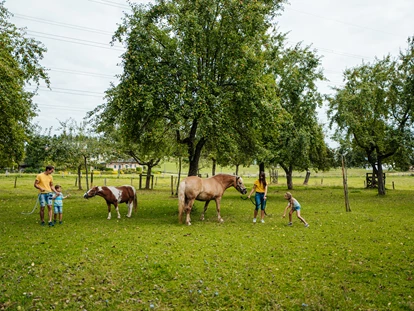 Ausflug mit Kindern - Ausflugsziel ist: ein Bauernhof - Kleinedling (St. Andrä, Wolfsberg) - Urlaub auf den Erlebnisbauernhöfen am Klopeiner See