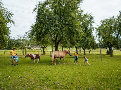 Ausflug mit Kindern - Alter der Kinder: Jugendliche - Latschach (Magdalensberg) - Urlaub auf den Erlebnisbauernhöfen am Klopeiner See