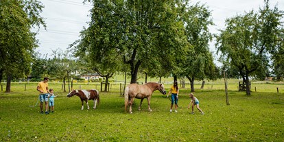 Ausflug mit Kindern - Umgebungsschwerpunkt: Land - PLZ 9201 (Österreich) - Urlaub auf den Erlebnisbauernhöfen am Klopeiner See