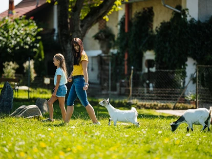 Ausflug mit Kindern - Themenschwerpunkt: Tiere - Österreich - Urlaub auf den Erlebnisbauernhöfen am Klopeiner See