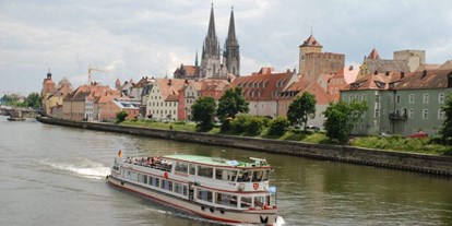 Ausflug mit Kindern - öffentliche Verkehrsmittel - Regensburg - Original Strudelrundfahrt