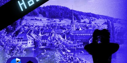 Ausflug mit Kindern - Themenschwerpunkt: Abenteuer - Reichenau (Konstanz) - Find-the-Code Stein am Rhein | Fall Hacked