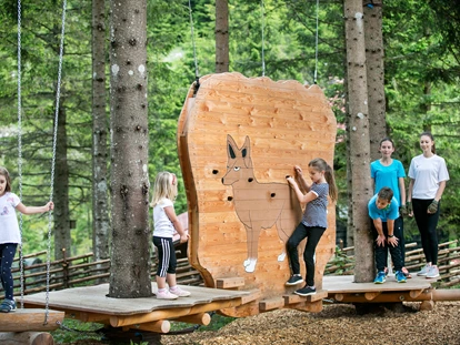 Ausflug mit Kindern - Umgebungsschwerpunkt: Berg - Markt-Übelbach - Kletterspaß für die ganze Familie