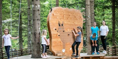 Ausflug mit Kindern - Witterung: Schönwetter - PLZ 8624 (Österreich) - Kletterspaß für die ganze Familie