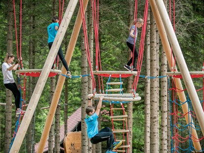 Ausflug mit Kindern - Ausflugsziel ist: ein Kletterpark - Adriach (Frohnleiten) - Kletterspaß für die ganze Familie