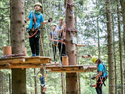 Ausflug mit Kindern - Dauer: halbtags - Pöllau (Pöllau) - Kletterspaß für die ganze Familie